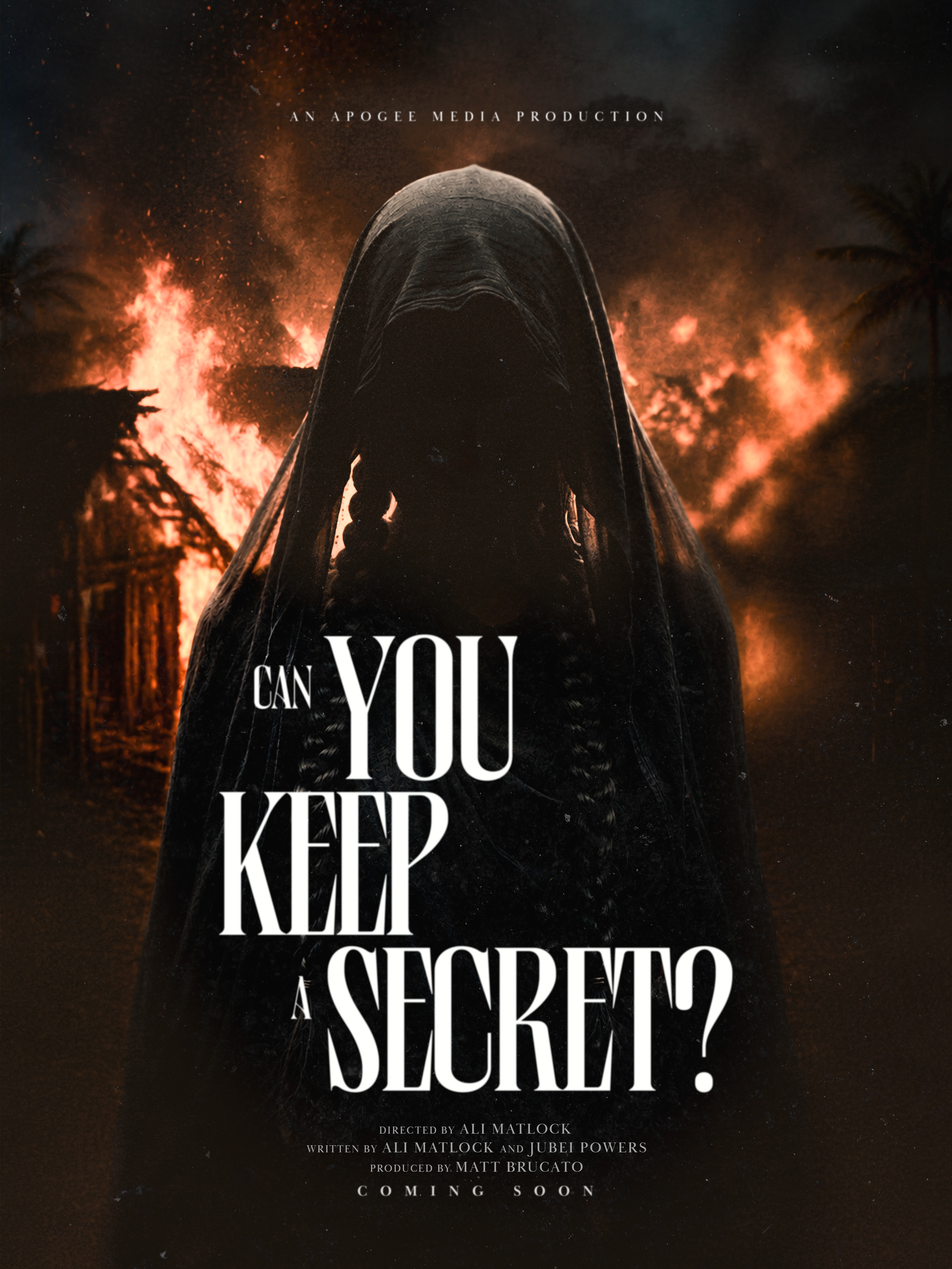 Official poster for Can You Keep a Secret?